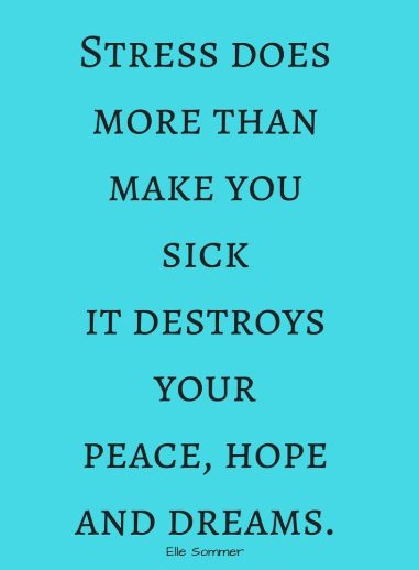quote by elle sommer stress does more than make you sick it destroys your peace hope and dreams